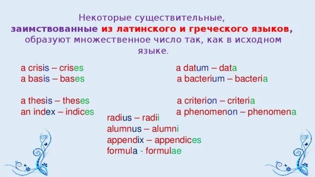 Терпеть множественное число. Radius множественное число в английском языке. Radius множественное число. Образование множественного числа в латыни. Множественное число существительных в латинском языке.