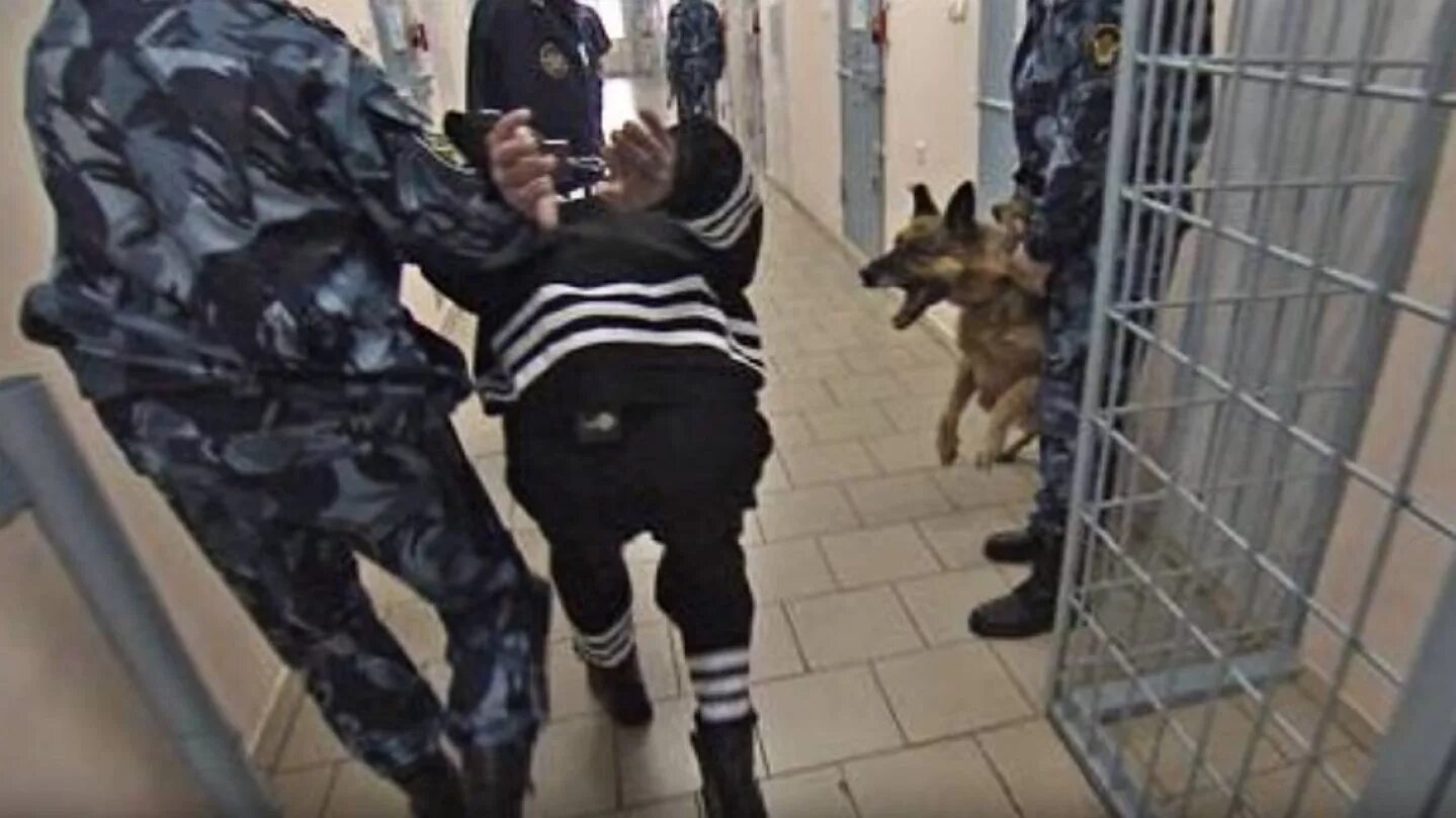 чёрный дельфин тюрьма в соль илецке. чёрный дельфин тюрьма 2022. черный дельфин колония особого режима. черный дельфин самая. исправительная колония № 6 («чёрный дельфин»).