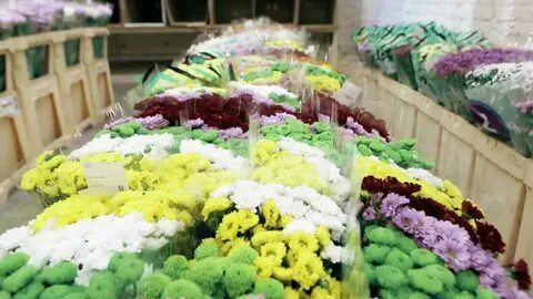 Московская цветочная компания