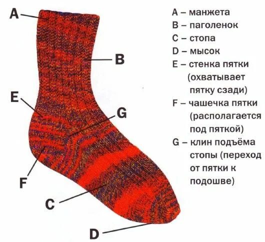 Части носка названия. Носок строение. Носки строение. Вязание носка на круговых спицах. Как правильно носочек