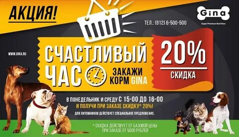 Корм акции