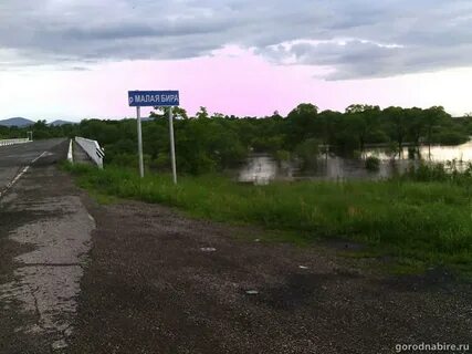 Ст бира