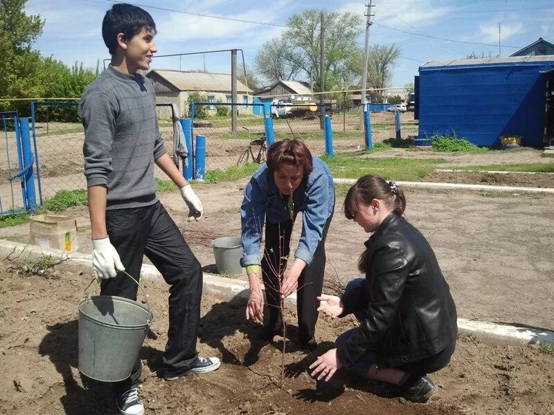 Погода в саратовской области романовка рп5. Саратовская область Федоровский район село Федоровка. Калдино Федоровский район. Село Тамбовка Саратовская область Федоровский район. Мокроус Федоровский район.