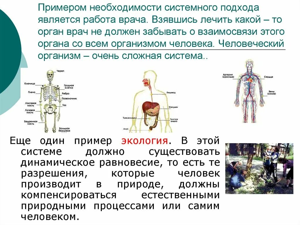 Какой орган является