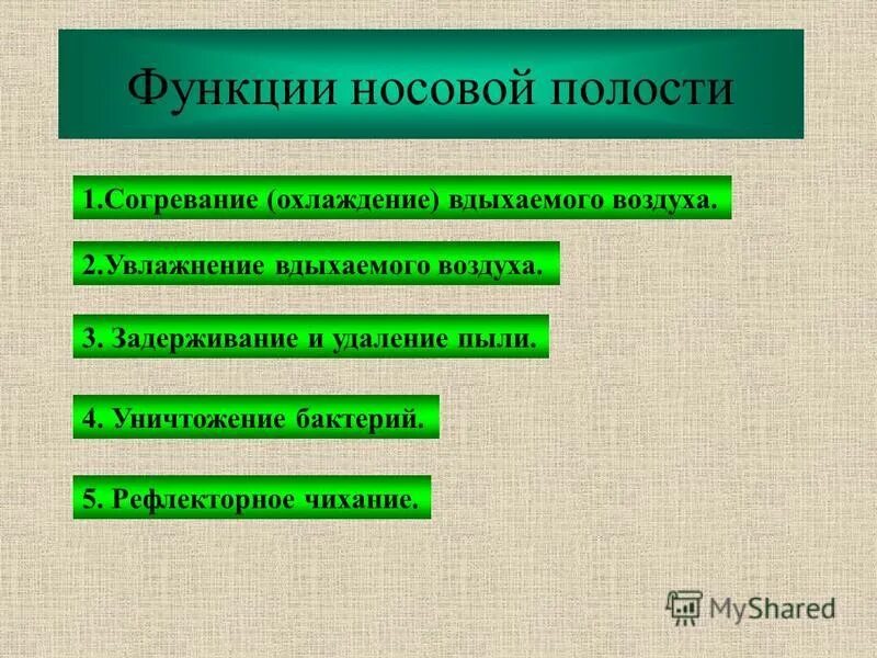 Очищение увлажнение и согревание вдыхаемого воздуха