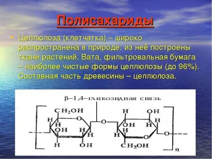 Полисахариды являются основной группой бас в лрс