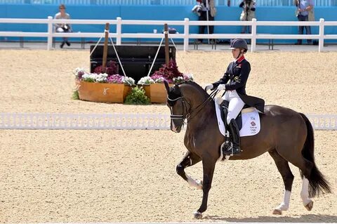 Equestrian перевод