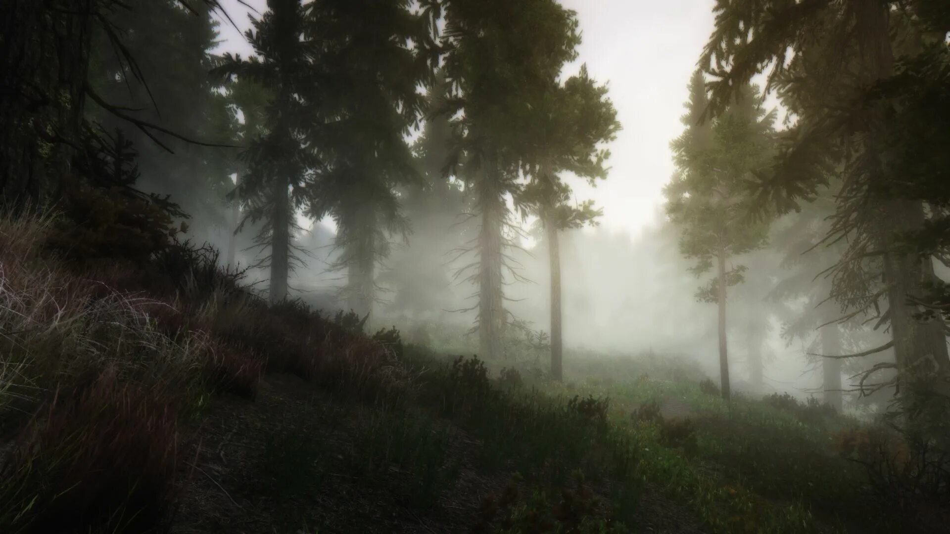 Мод from the fog 1.16 5