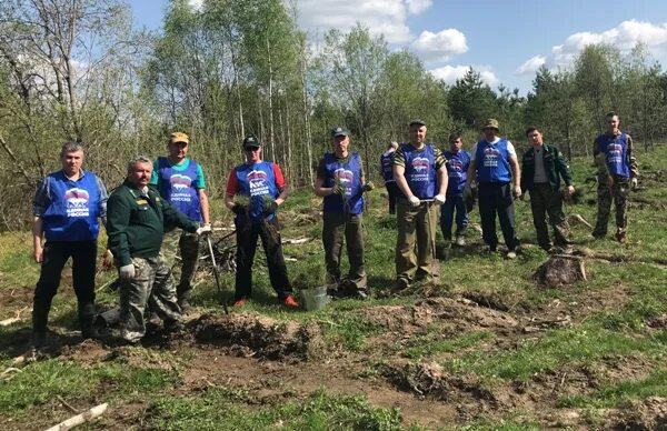 Богородское лесничество. Лесхоз богородского района. лесхоз богородского района нижегородской области. богородское районное лесничество нижегородская область. богородск лесничество.
