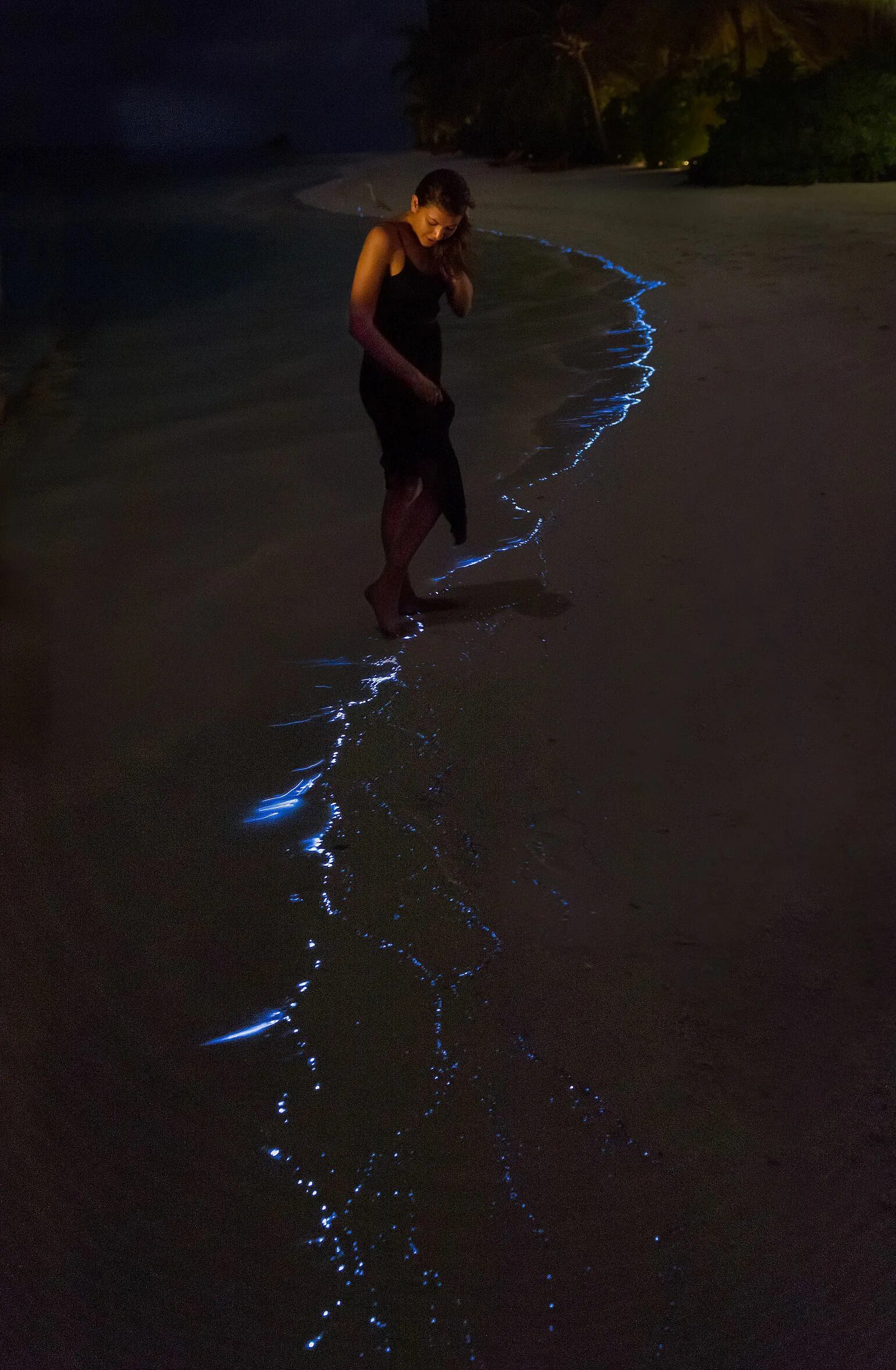 Glowing beach