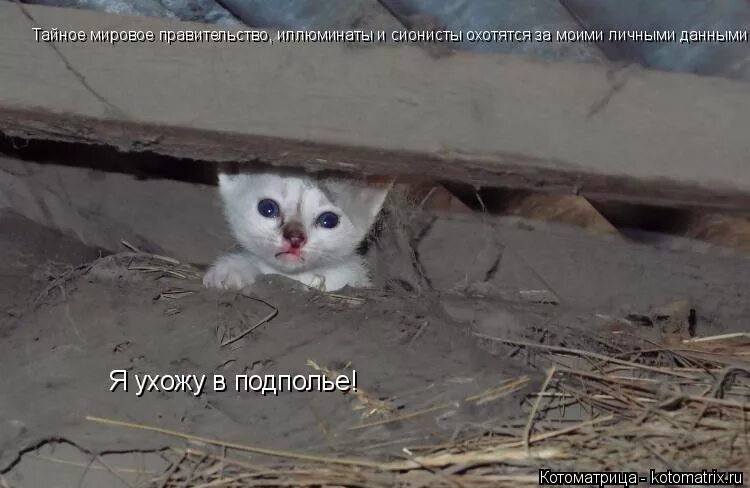 Я в подполье. Ушла на базу картинка. Ушел в подполье. Уйти в подполье. Уйти в подполье.