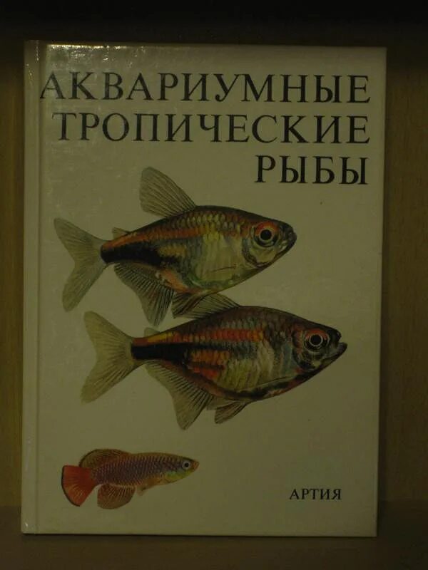 Книга про аквариумных рыбок. Аквариумные рыбки книжка. Книга аквариумиста. Книги про аквариумистику. Рыба книги купить