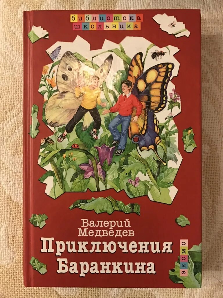 Неизвестные приключения баранкина. Неизвестные приключения Баранкина книга.