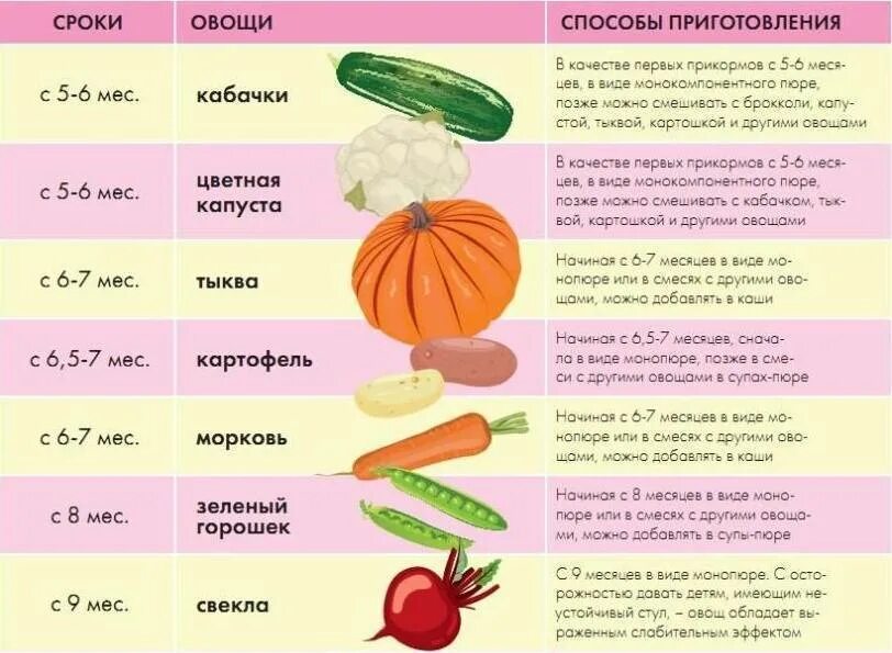 Скольки месяцев можно подкармливать. Прикорм ребенка овощи. Огурцы для прикорма грудничкам. Введение овощей в прикорм. Когда вводить БЛВ приеорм.