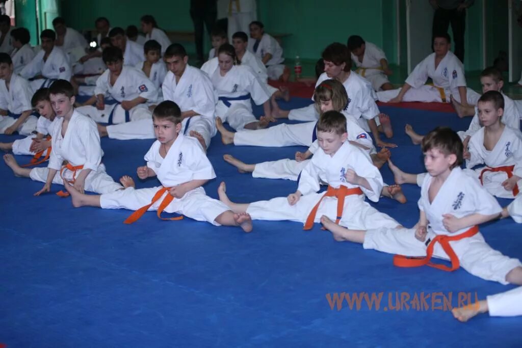 Зимняя школа киокушинкай республики башкортостан. Зимняя школа каратэ. Като на 9 кю киокушинкай каратэ. Зачет по карате кекусинкай. 9 кю в каратэ.