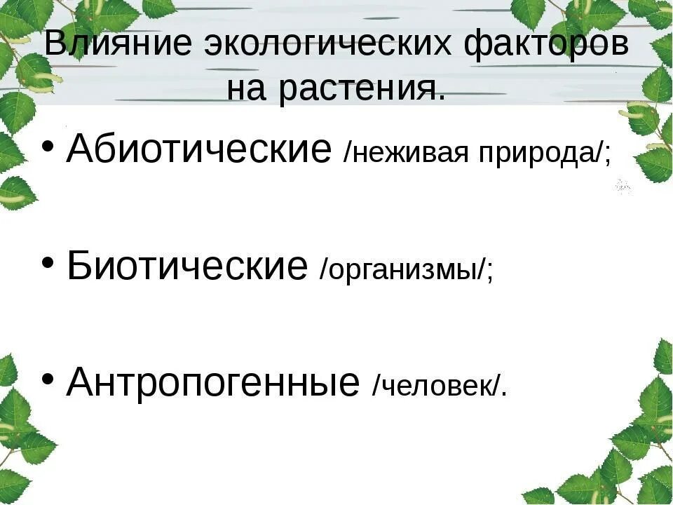 Влияние окружающей на развитие организмов. Экологические факторы влияющие на растения. Влияние экологических факторов на растения. Факторы воздействующие на растения. Факторы влияющие Наростения.