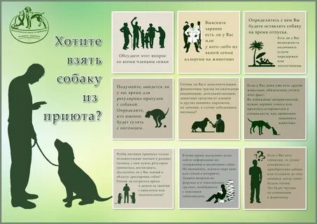 Возьми питомца