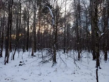 Сухой тихий