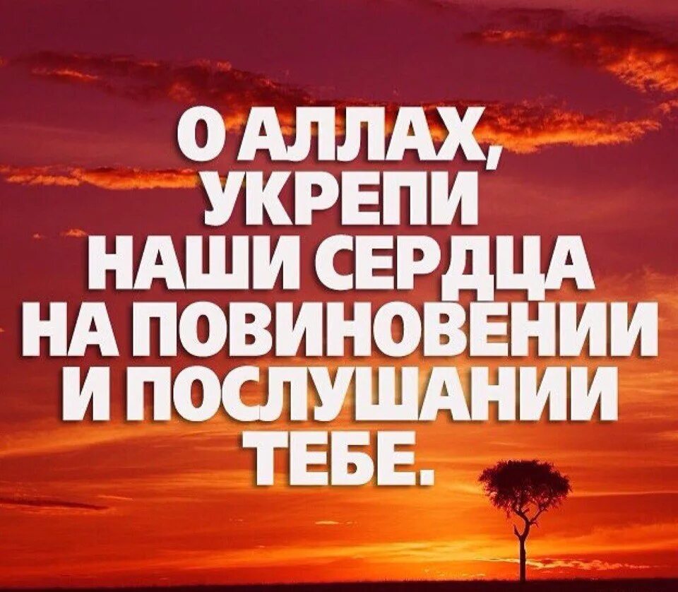 Благодаря всевышнего. Благодарность аллаху. сердце в исламе. благодаря аллаха. благодарение ислам.