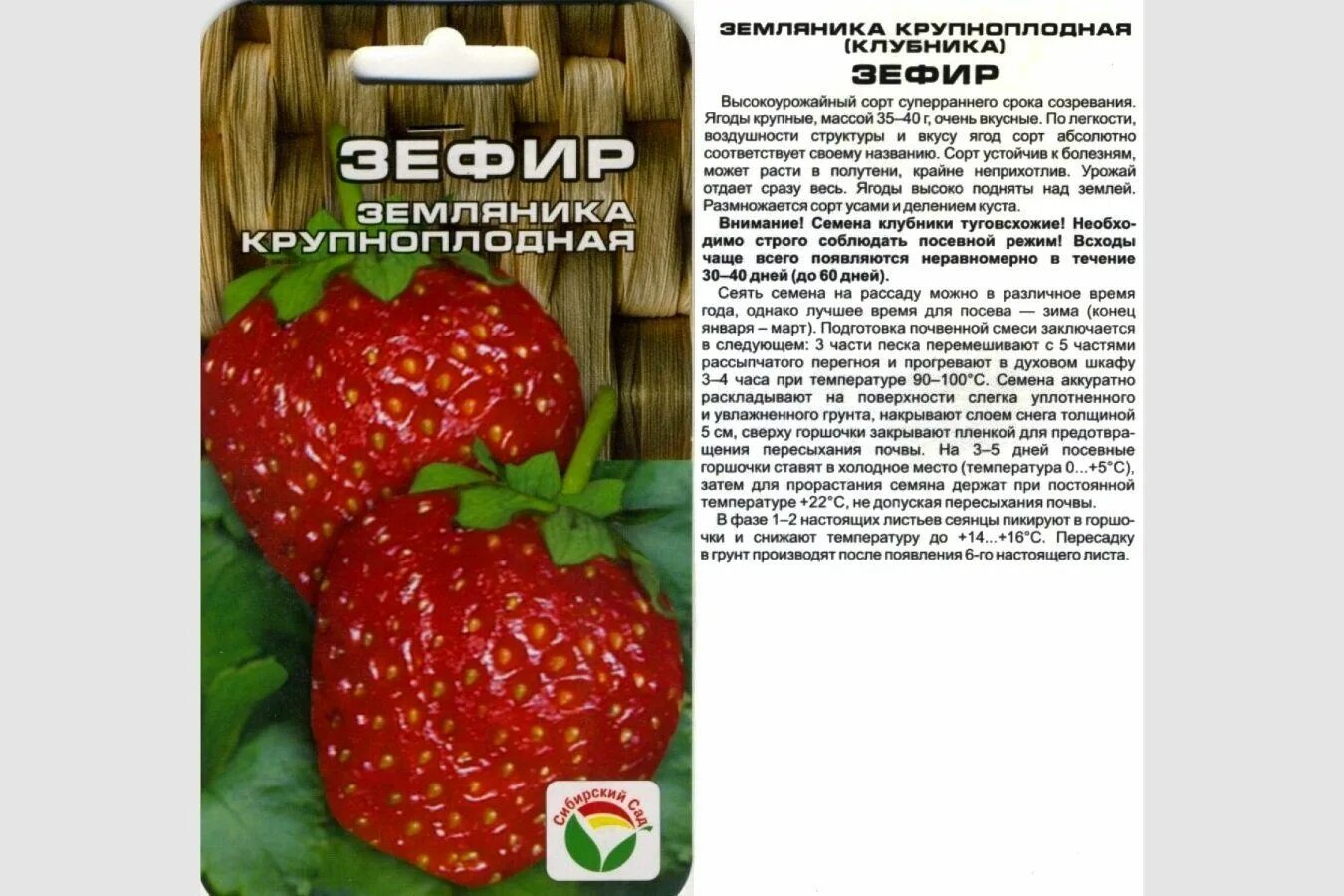 Земляника сорта семян. Зефир 10шт клубника (сиб сад). ремонтантная клубника зефир. семена сибирский сад земляника клубника. клубника зефир сибирский сад.