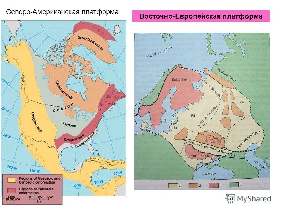 Восточно европейская равнина древние платформы. Тектоническая карта европейской платформы. Тектоническое строение Северной Америки карта. Тектонические плиты Северной Америки. Северо-американская платформа.