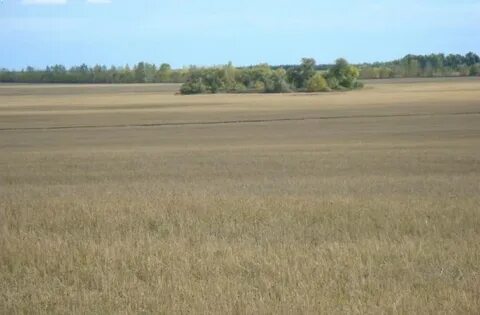 Продам земли с х назначения