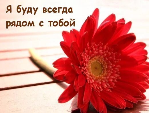 доченька я всегда буду рядом. доченька моя. все будет хорошо ангел. я с тобой. цитаты о рождении дочери.