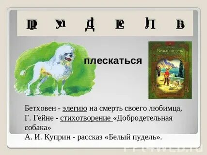 Куприн пудель кратко