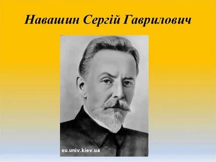 Жизнь и научная деятельность навашина