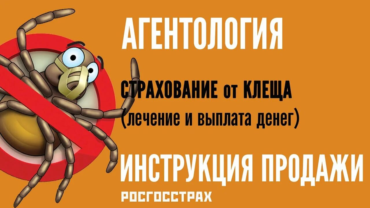 Страховка от клеща ярославль