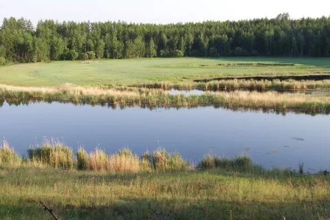Алаас
