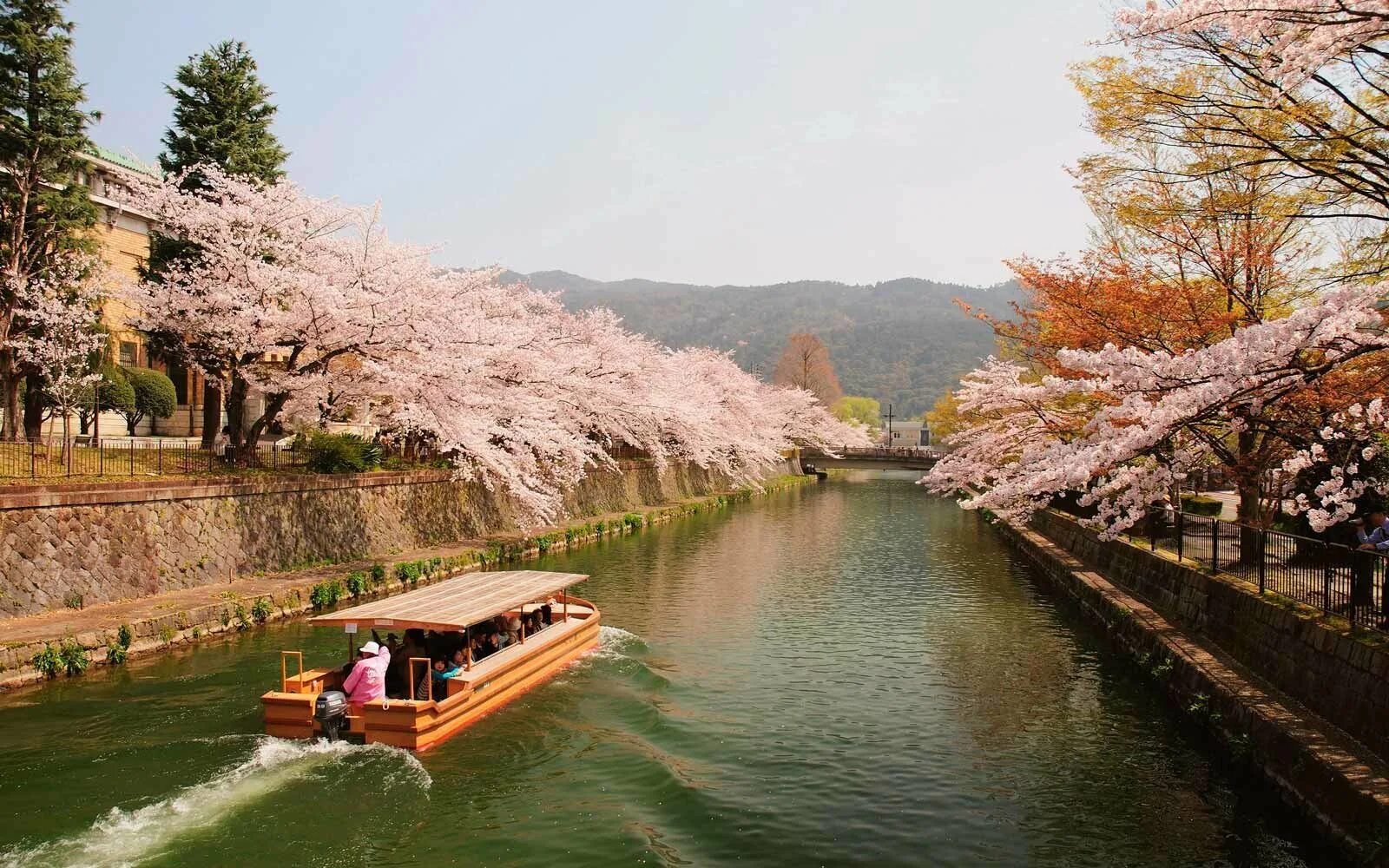 Природный потенциал японии. Синано Япония. Арасияма Киото река. Канто река в Японии. Синано река.