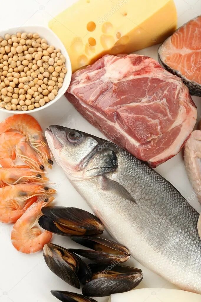 Белок в продуктах. Белковые продукты. Продукты животного происхождения. Белковая пища. Рыба белковый продукт.