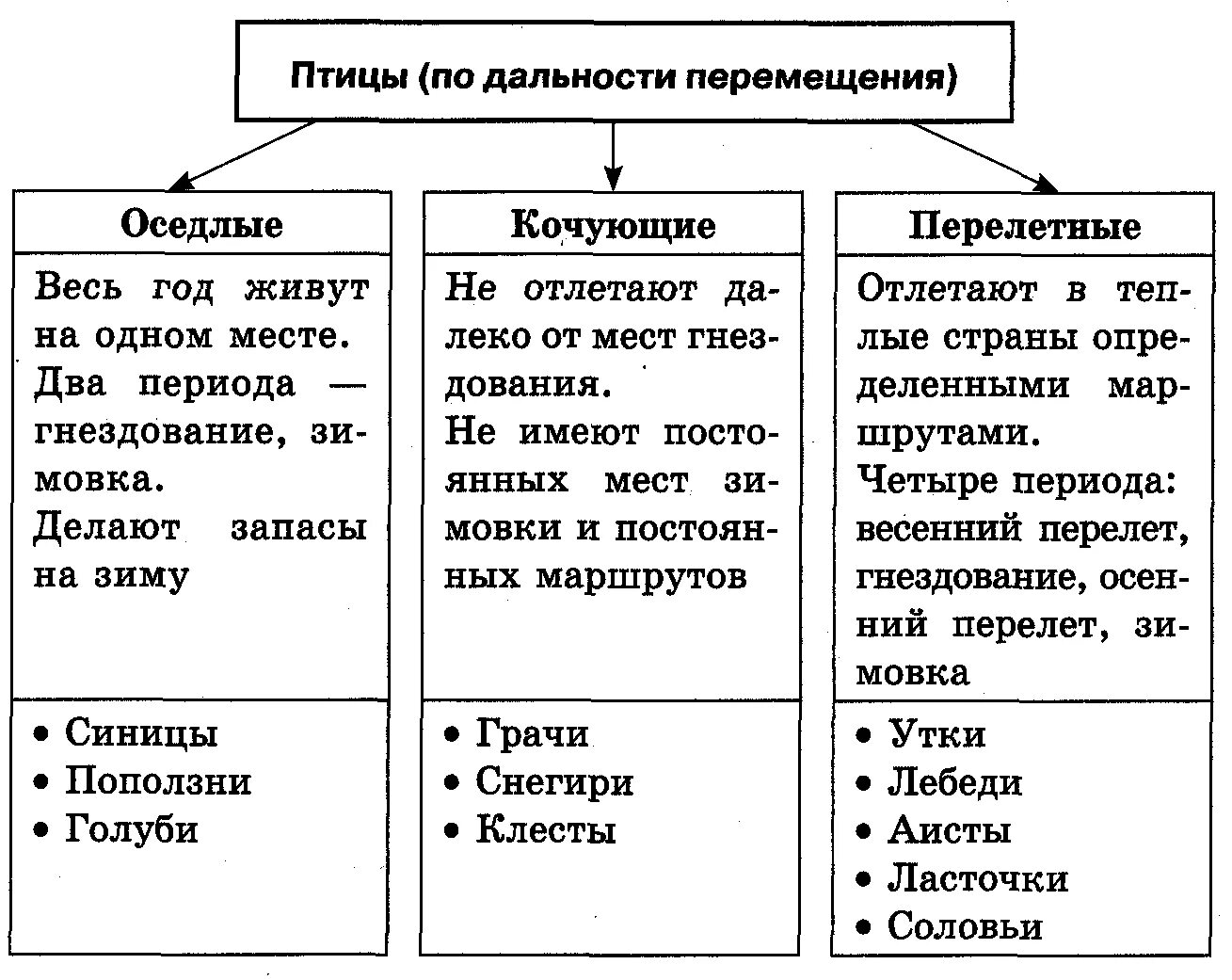 Биология 7 класс характеристика класса птиц таблица. Характеристика птиц таблица по биологии 7 класс. Характеристика отряда птиц 7 класс. Общая характеристика птиц 7 класс таблица.