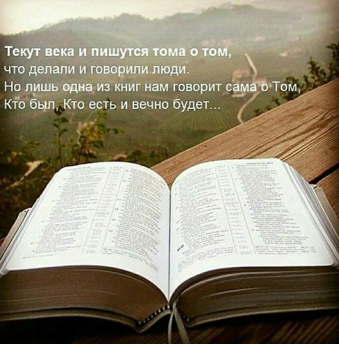 Хочу жизнь как в книге