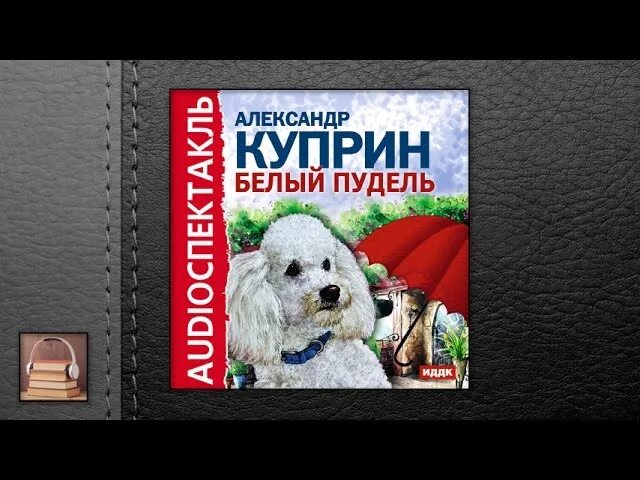 Белый пудель Куприн аудио. Куприн белый пудель аудиокнига. Книжка белый пудель аудио. Куприн белый пудель слушать. Куприн слушать полностью