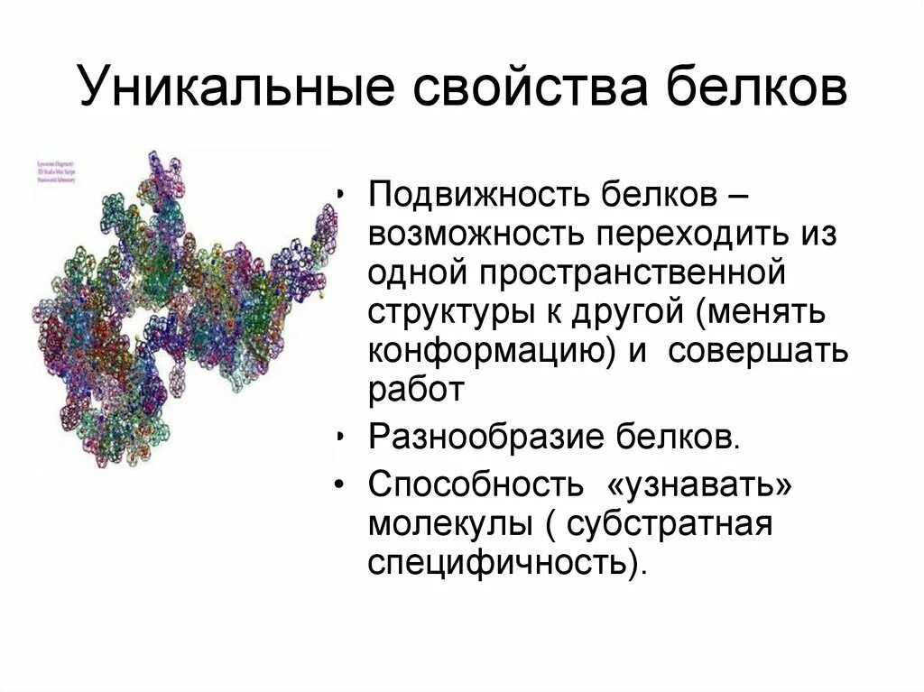 Многообразие белков. Уникальные свойства белков. Подвижность белков. Разнообразие и специфичность белков. По строению и свойствам белков.