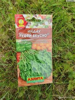 Руккола заготовка на зиму рецепты