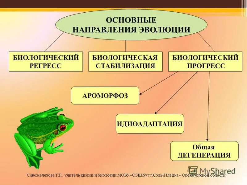 Прогресс два примера