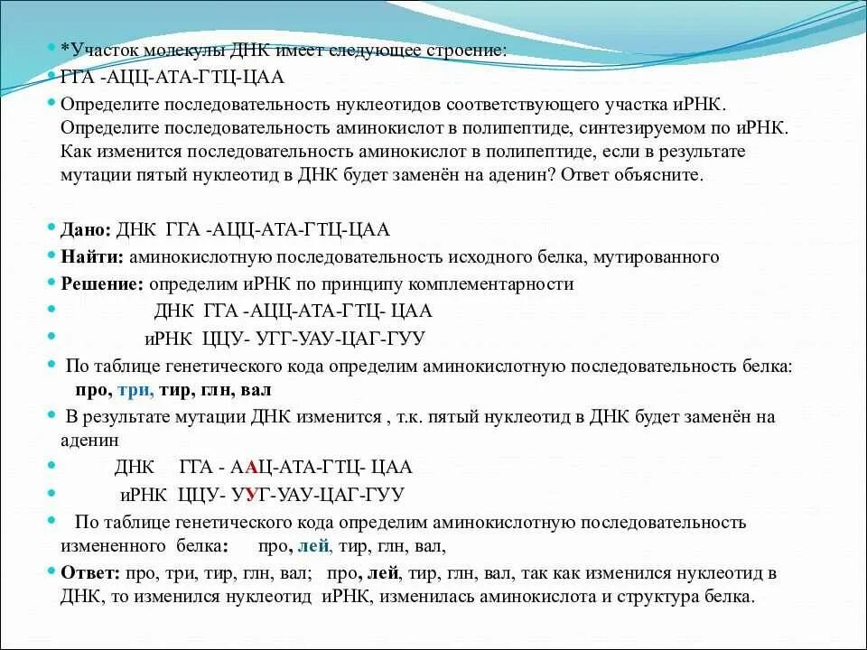 Число нуклеотидов в днк и рнк. Строение участка молекулы ДНК. Определите последовательность аминокислот в полипептиде. Определите последовательность участка ДНК. Определить аминокислотную последовательность.