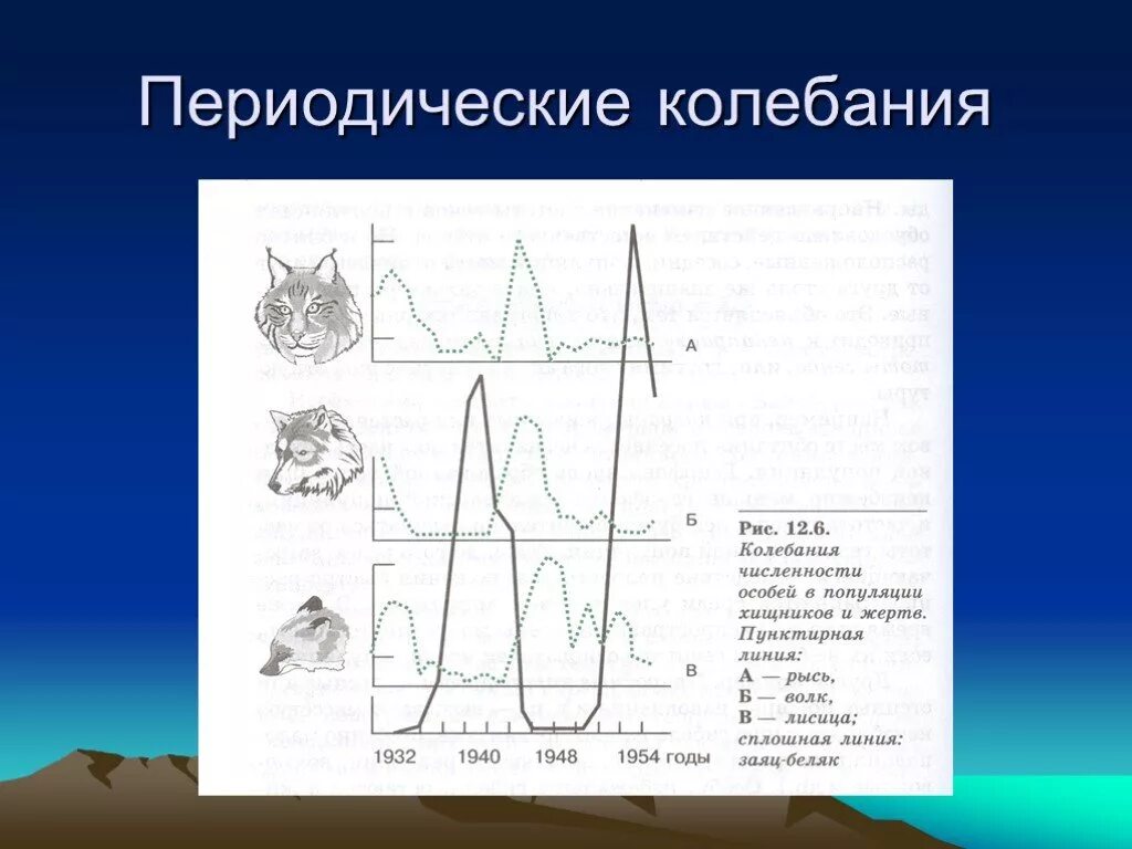 Периодические колебания уровня океана. Периодические колебания. Колебания популяции. Колебания численности популяции. Колебания численности хищников и жертв.