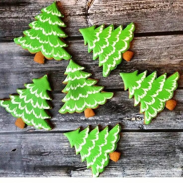 Tree cookie