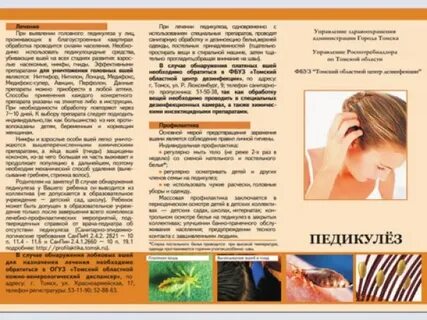 Чесотка и педикулез