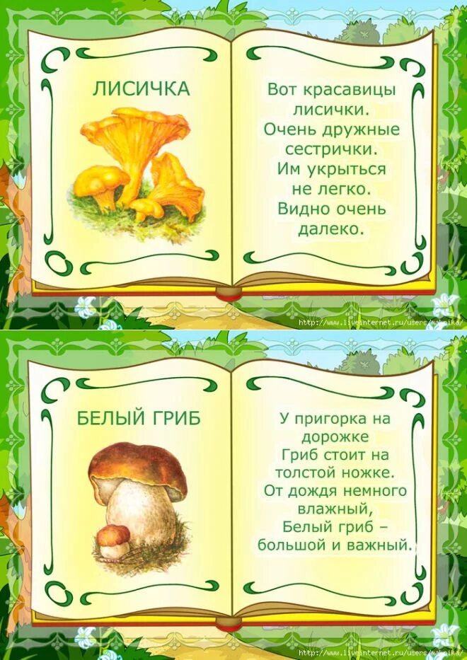 Стих про грибы для детей. Стихи про грибы. Стих про грибы для детей. Стишки про грибы для детей. Стихи о грибах.