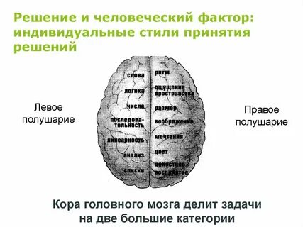 Мозговые решения принятия решений