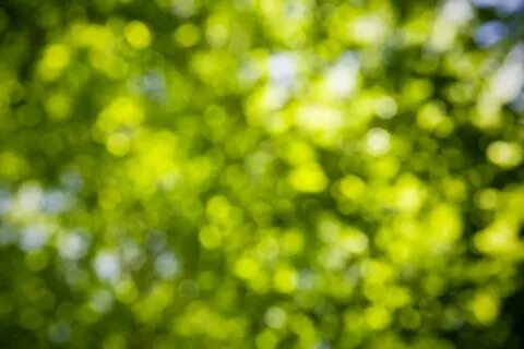 Photoshop үшін түймедақ фоны