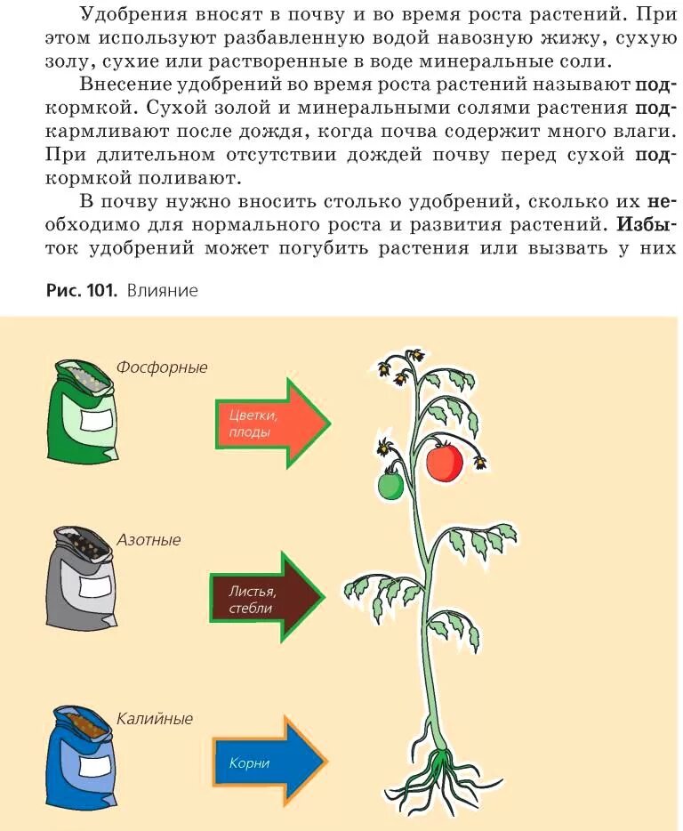 Роль удобрений в жизни растений 6 класс биология. Удобрения для растений. Удобрения для растений схемы. Влияние удобрений на растения. Влияние минеральной воды на растения