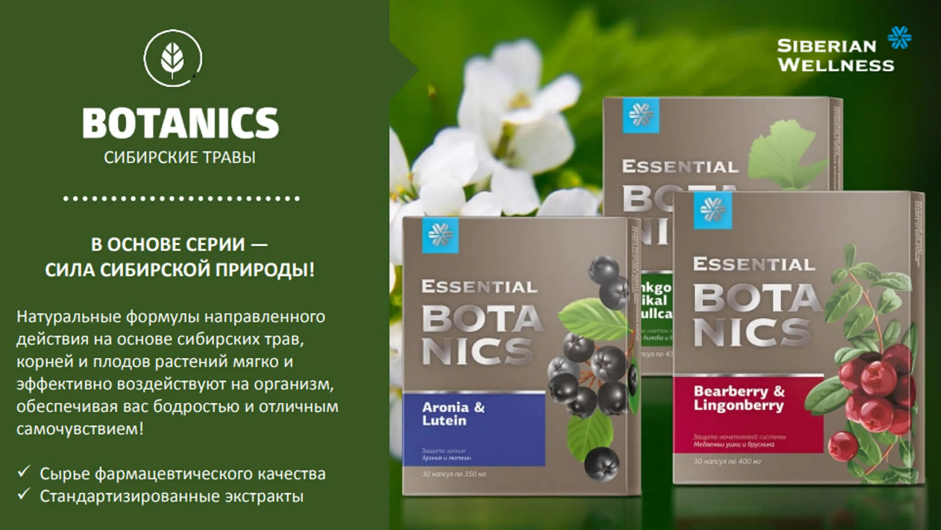 Сибирско 5 здоровье. Сибирское здоровье Siberian Wellness. Сибирское здоровье Essential Botanics. Сибирское здоровье йохимбе и Сибирский. Йохимбе и Сибирский женьшень Essential Botanics Сибирское здоровье.