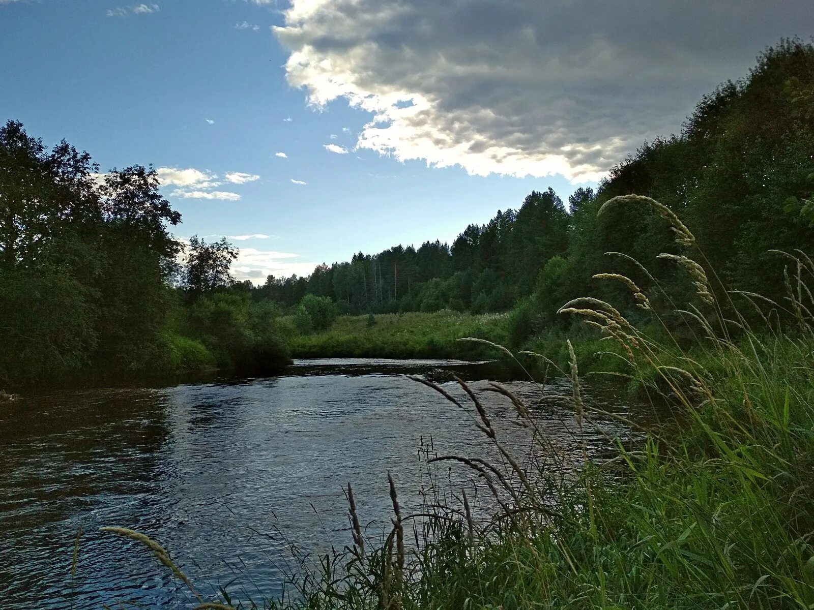 Река буды. Река кусинка. Река Вьюница Дзержинск. Река Кянга. Река кусинка Ленинградская область.