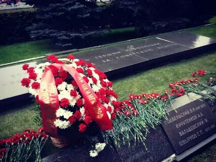 Пала жертвой
